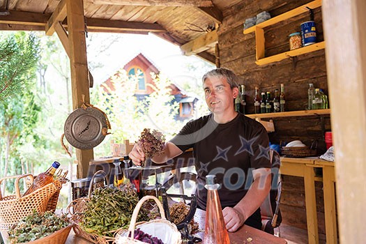 herbalist gardender small business owner picking gathering fresh herbs for alternative medicine tea and poutting on balance herbalist gardender small business owner picking gathering fresh herbs for alternative medicine tea and poutting on balance