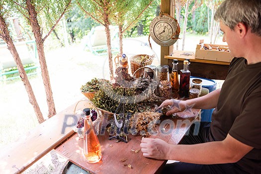 herbalist gardender small business owner picking gathering fresh herbs for alternative medicine tea and poutting on balance herbalist gardender small business owner picking gathering fresh herbs for alternative medicine tea and poutting on balance