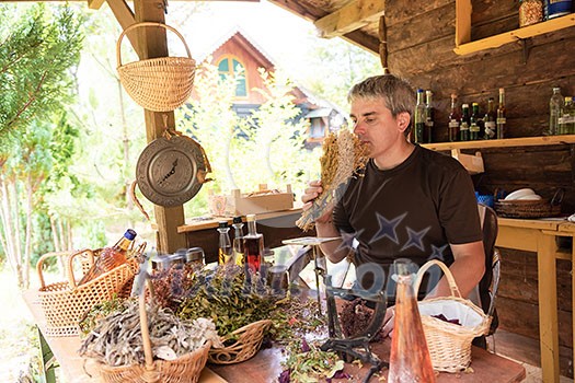 herbalist gardender small business owner picking gathering fresh herbs for alternative medicine tea and poutting on balance herbalist gardender small business owner picking gathering fresh herbs for alternative medicine tea and poutting on balance
