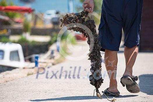 closeup picture of senior man carries a bag of fresh mussels closeup picture of senior man carries a bag of fresh mussels
