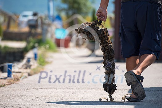 closeup picture of senior man carries a bag of fresh mussels