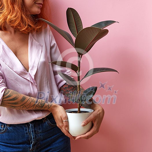 Happy smiling red haired woman with hands of tattoo holds flowerpot with green plant ficus on a pink background, place for text. Congratulation gift for Mother's or Woman's Day. Happy smiling red haired woman with hands of tattoo holds flowerpot with green plant ficus on a pink background, place for text. Congratulation gift for Mother's or Woman's Day.