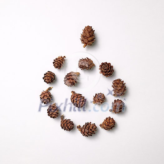 Composition of pine cones in the form of a spiral on a gray background with space for text. Natural layout. Flat lay Composition of pine cones in the form of a spiral on a gray background with space for text. Natural layout. Flat lay
