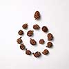 Composition of pine cones in the form of a spiral on a gray background with space for text. Natural layout. Flat lay