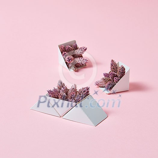 Creative composition of three cardboard boxes with cones on a pink background with space for text. Autumn layout Creative composition of three cardboard boxes with cones on a pink background with space for text. Autumn layout
