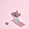 Autumn pine cones in a triangular cardboard box with reflection of shadows on a pink background and copy space.