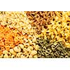 Variety of types and shapes of dry Italian pasta