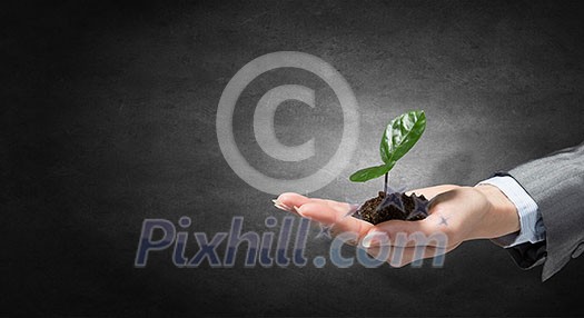 Close of woman hand holding green sprout in soil. Mixed media Close of woman hand holding green sprout in soil. Mixed media