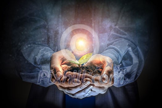 Man holding green seedling in soil. Mixed media Man holding green seedling in soil. Mixed media