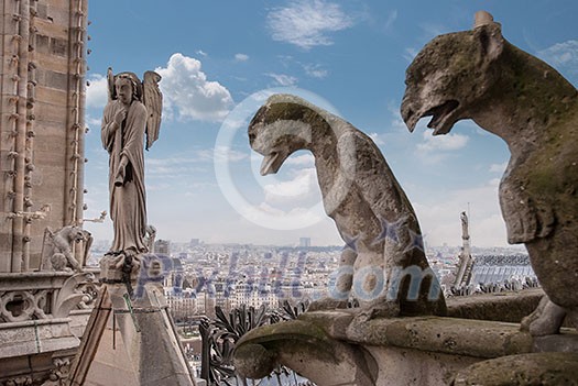Stone demons gargoyle and chimera with Paris city on background. View from Notre Dame de Paris Stone demons gargoyle and chimera with Paris city on background. View from Notre Dame de Paris