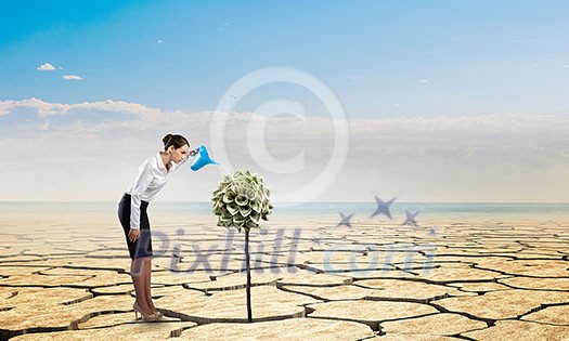 Young attractive businesswoman watering plant in pot with can. Mixed media Young attractive businesswoman watering plant in pot with can. Mixed media