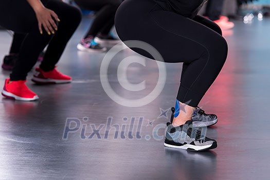 group of young healthy sporty women working out with instructor doing aerobics exercises in a fitness studio fitness, sport, training, gym and lifestyle concept group of young healthy sporty women working out with instructor doing aerobics exercises in a fitness studio fitness, sport, training, gym and lifestyle concept