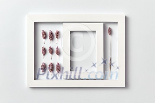 Creative pattern of dry painted cones and empty carcass in a rectangular frame on a light background, place for text. Flat lay. Greeting card. Creative pattern of dry painted cones and empty carcass in a rectangular frame on a light background, place for text. Flat lay. Greeting card.
