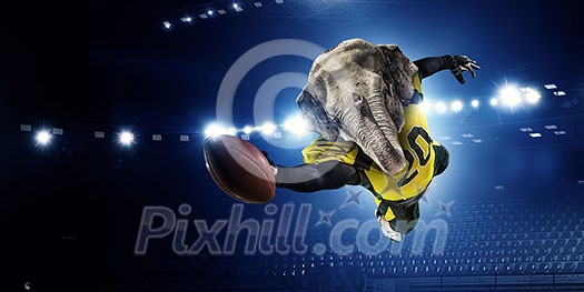 American football player with elephant animal head. Mixed media American football player with elephant animal head. Mixed media