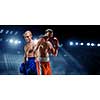 Two boxers fighting in lights of arena. Mixed media