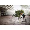 Hipster guy water green tree with metal can. Mixed media