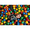 happy family enjoying free time young mom playing with kids in pool with colorful balls at childrens playroom