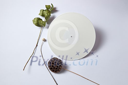 White vinyl audio record and dry branches on a light background with copy space. Retro composition. Flat lay White vinyl audio record and dry branches on a light background with copy space. Retro composition. Flat lay