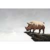 Big rhino animal outdoors as symbol of power and leadership