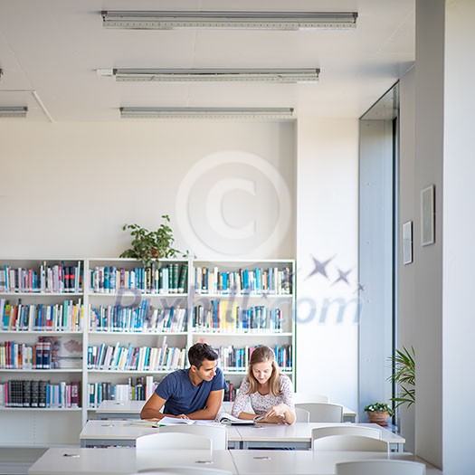 Students in a library Students in a library