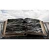 Book with natural sea landscape on pages
