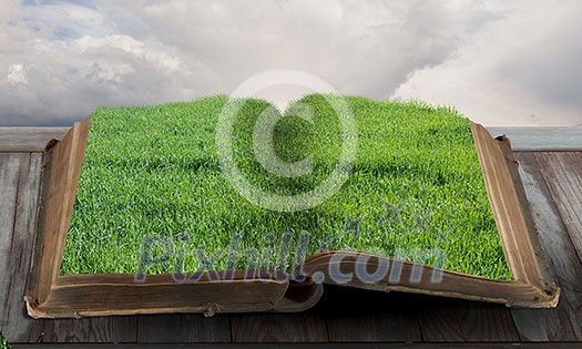 Book with green grass on pages on wooden surface Book with green grass on pages on wooden surface