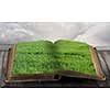 Book with green grass on pages on wooden surface