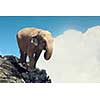 Elephant animal walking on rock top. Mixed media