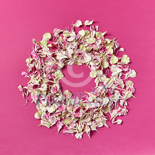 Creative background with round floral frame from carnation's petals on a purple, copy space. Flat lay. Creative background with round floral frame from carnation's petals on a purple, copy space. Flat lay.