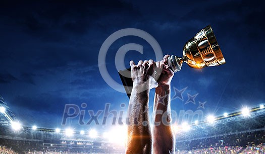 Hand of athlete holding cup trophy against stadium. Mixed media Hand of athlete holding cup trophy against stadium. Mixed media
