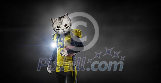 American football player with cat head in lights of sport arena. Mixed media American football player with cat head in lights of sport arena. Mixed media