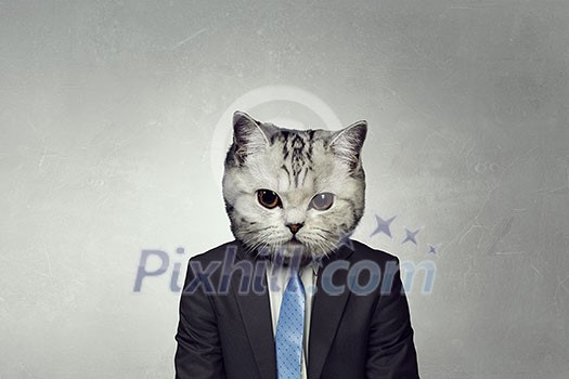 Businessman with cat head on concrete background. Mixed media Businessman with cat head on concrete background. Mixed media