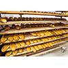 bread bakery food factory production with fresh products prepare to move on in the shelf