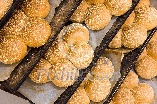 bread bakery food factory production with fresh products prepare to move on in the shelf