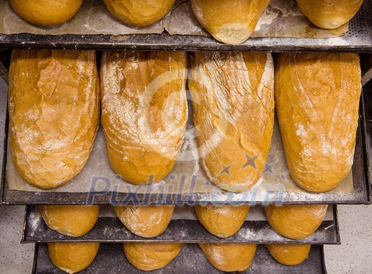 bread bakery food factory production with fresh products prepare to move on in the shelf