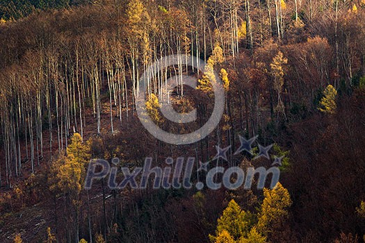 Autumn landscape (shallow DOF; color toned image) Autumn landscape (shallow DOF; color toned image)