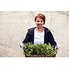 Gardening fresh herbs in summer  woman with wooden basket full of fresh herbs ment peppermint tea