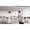 Professional business people shaking hands as symbol of deal in office