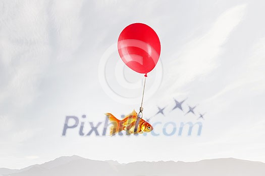 Concept of surrealism with gold fish flying on air balloon Concept of surrealism with gold fish flying on air balloon