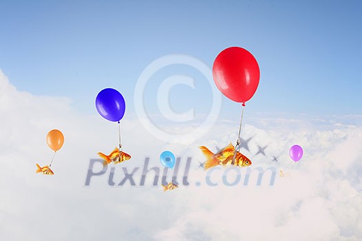 Concept of surrealism with gold fish flying on air balloon Concept of surrealism with gold fish flying on air balloon