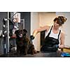 professional pet hairdresser hipster woman with tattoos cutting fur of cute black dog in beauty salon for animals