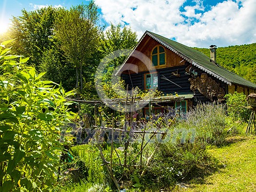 luxury family wooden cotage house in forest with garden and colorful herbs luxury family wooden cotage house in forest with garden and colorful herbs