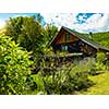 luxury family wooden  cotage house in forest with garden and colorful herbs
