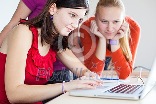 Group of female college students working on their homework/having a chat in between the lectures, using a laptop computer (color toned image) Group of female college students working on their homework/having a chat in between the lectures, using a laptop computer (color toned image)