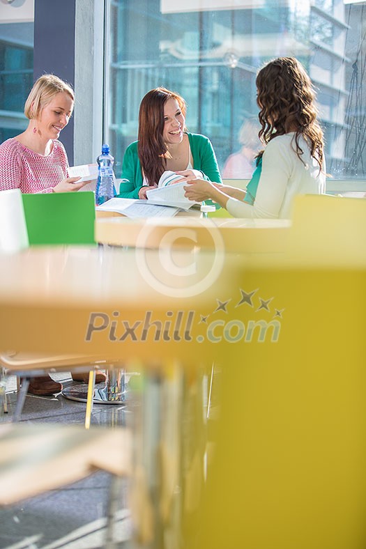 Group of university students studying hard for an exam in a lovely bright sunlit studying room/library Group of university students studying hard for an exam in a lovely bright sunlit studying room/library