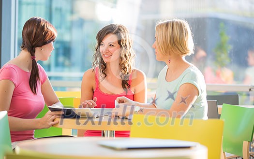 Group of university students studying hard for an exam in a lovely bright sunlit studying room/library Group of university students studying hard for an exam in a lovely bright sunlit studying room/library