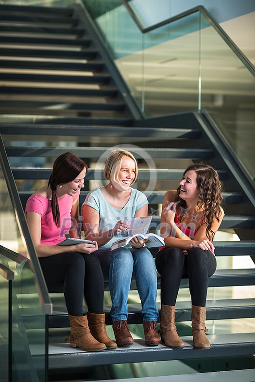 Group of university students studying hard for an exam in a lovely bright sunlit studying room/library Group of university students studying hard for an exam in a lovely bright sunlit studying room/library