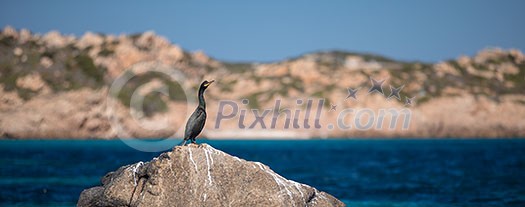 Scenic Sardinia island landscape. Italy sea ​​coast with azure clear water. Nature background Scenic Sardinia island landscape. Italy sea ​​coast with azure clear water. Nature background