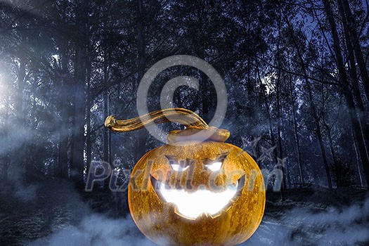 Big orange pumpkin on dark background. Mixed media Big orange pumpkin on dark background. Mixed media