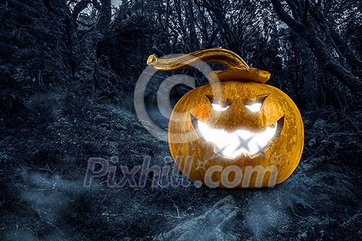 Big orange pumpkin on dark background. Mixed media Big orange pumpkin on dark background. Mixed media
